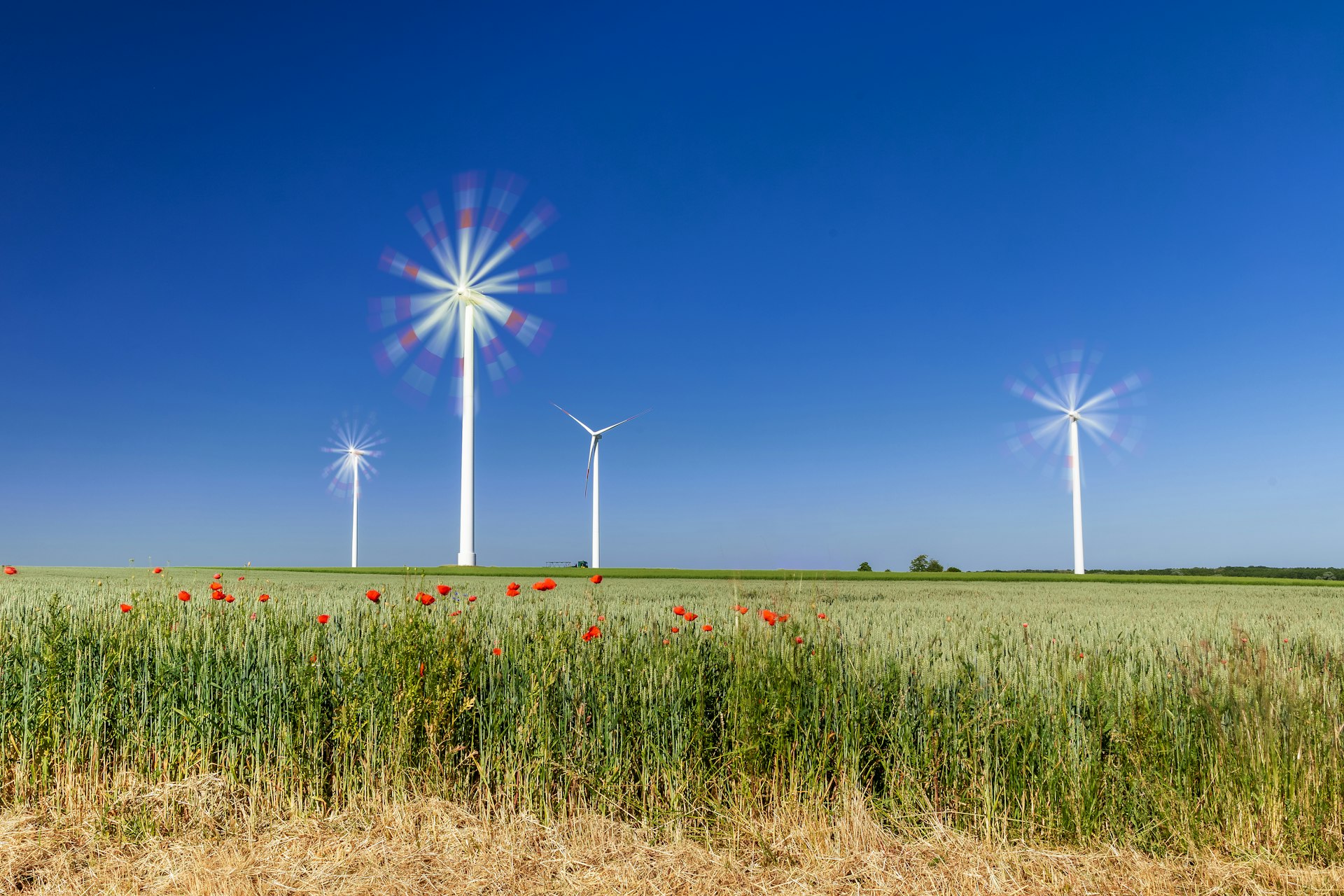 Unlocking Profitable Ventures: How to Access Business Opportunities in Renewable Energy Markets