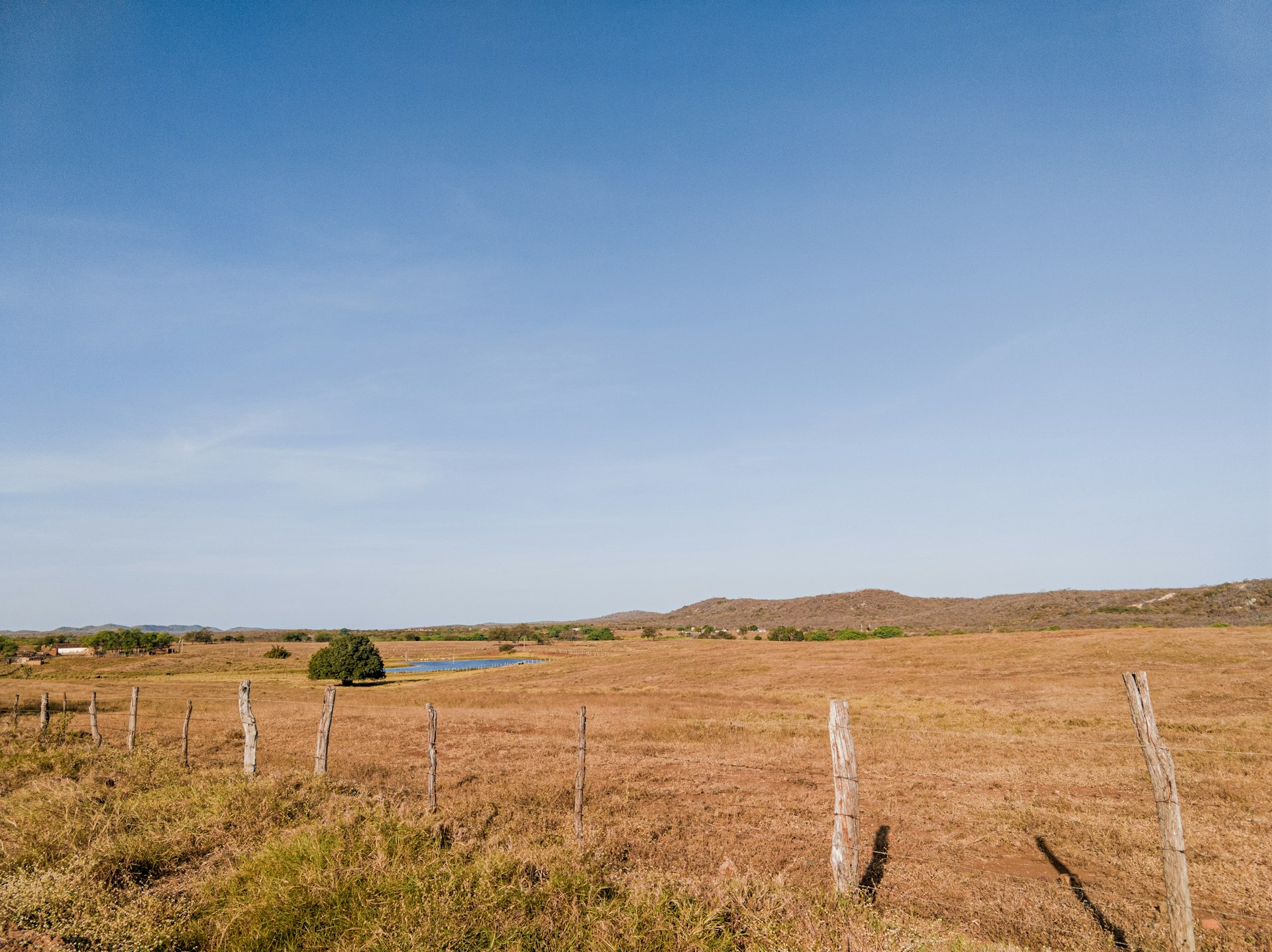Unlocking Vacant Land Investment Opportunities: A Comprehensive Guide for Smart Investors