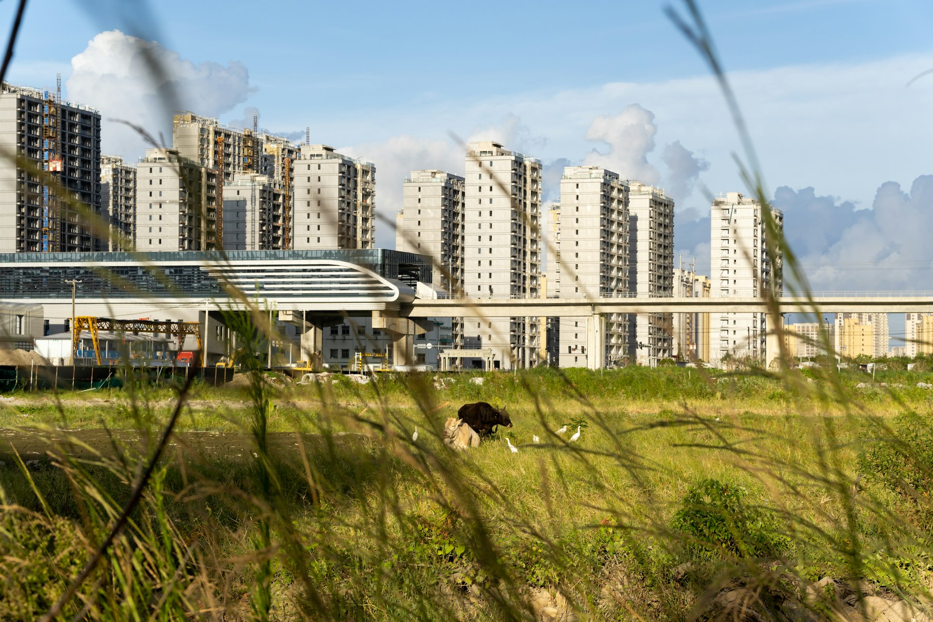 Unlocking Real Estate Value in Climate Resilient Cities: Strategies for Investors and Homebuyers