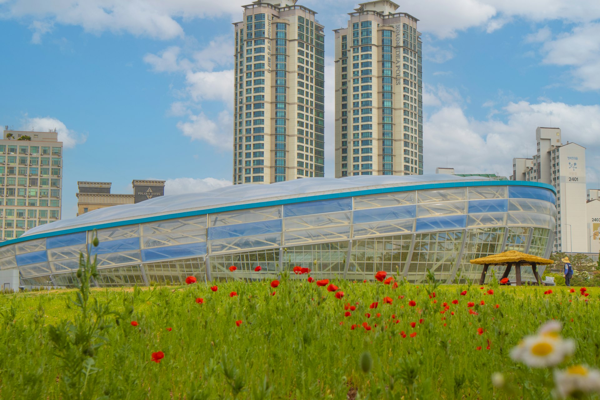 Urban Farming Meets Real Estate: Shaping Sustainable Cities for Tomorrow