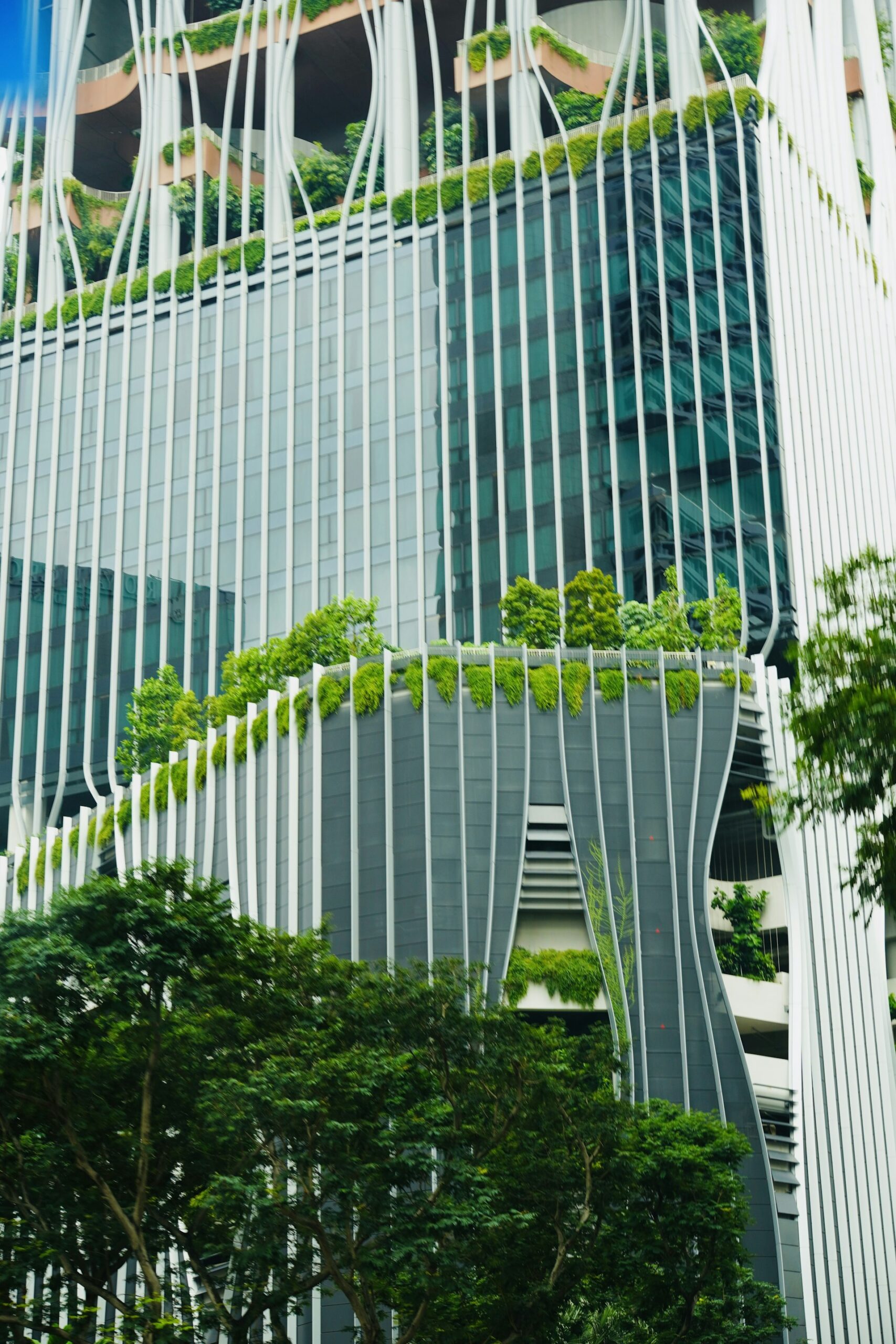 Sustainability as a Strategic Advantage in Commercial Real Estate Investments